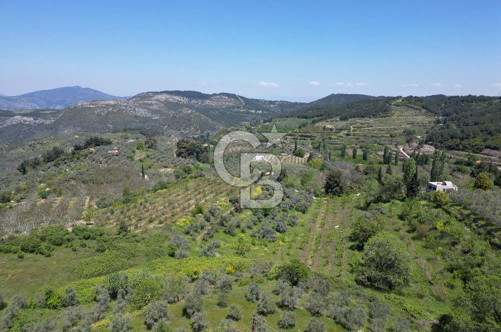 SELÇUK ŞİRİNCE’DE SATILIK 10778 M2 MÜSTAKİL BAHÇE