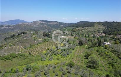 SELÇUK ŞİRİNCE’DE SATILIK 10778 M2 MÜSTAKİL BAHÇE