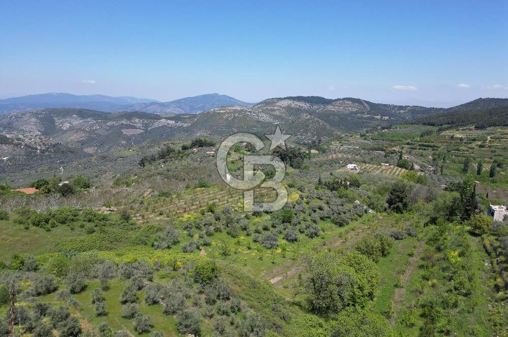 SELÇUK ŞİRİNCE’DE SATILIK 10778 M2 MÜSTAKİL BAHÇE