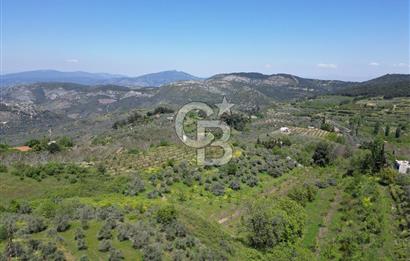 SELÇUK ŞİRİNCE’DE SATILIK 10778 M2 MÜSTAKİL BAHÇE