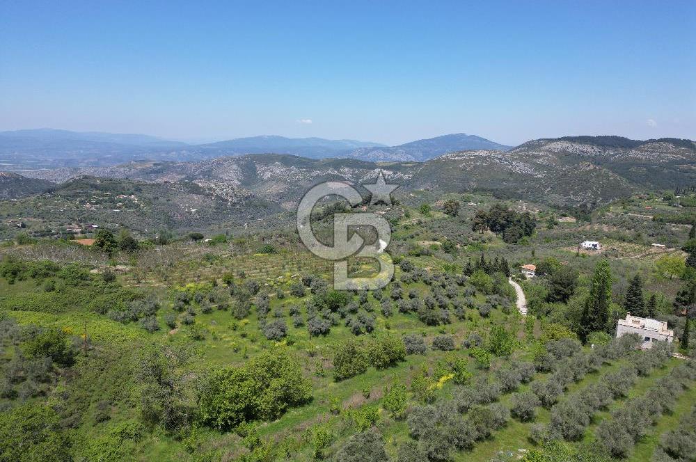 SELÇUK ŞİRİNCE’DE SATILIK 10778 M2 MÜSTAKİL BAHÇE
