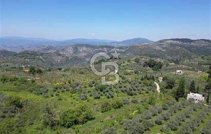 SELÇUK ŞİRİNCE’DE SATILIK 10778 M2 MÜSTAKİL BAHÇE