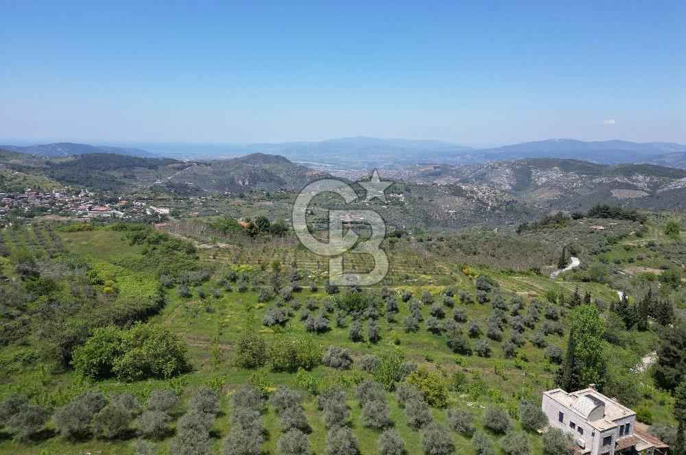 SELÇUK ŞİRİNCE’DE SATILIK 10778 M2 MÜSTAKİL BAHÇE