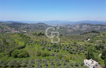 SELÇUK ŞİRİNCE’DE SATILIK 10778 M2 MÜSTAKİL BAHÇE