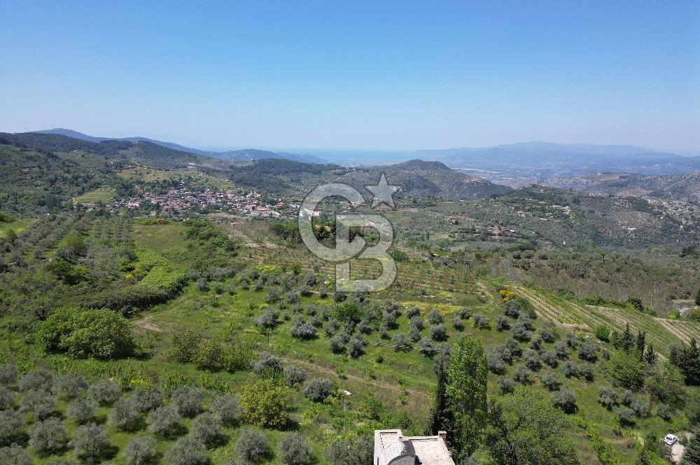 SELÇUK ŞİRİNCE’DE SATILIK 10778 M2 MÜSTAKİL BAHÇE
