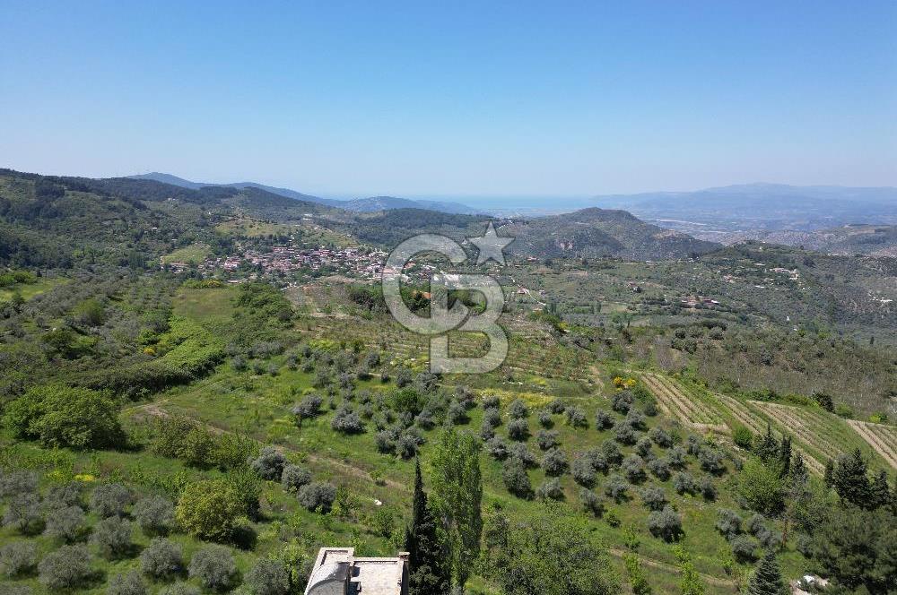 SELÇUK ŞİRİNCE’DE SATILIK 10778 M2 MÜSTAKİL BAHÇE