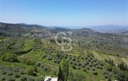SELÇUK ŞİRİNCE’DE SATILIK 10778 M2 MÜSTAKİL BAHÇE