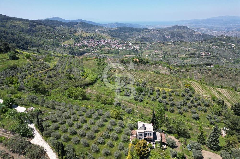 SELÇUK ŞİRİNCE’DE SATILIK 10778 M2 MÜSTAKİL BAHÇE