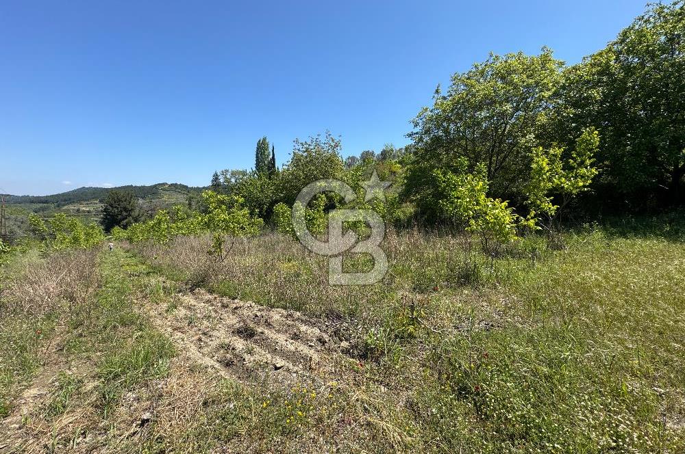 SELÇUK ŞİRİNCE’DE SATILIK 10778 M2 MÜSTAKİL BAHÇE