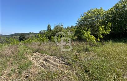SELÇUK ŞİRİNCE’DE SATILIK 10778 M2 MÜSTAKİL BAHÇE