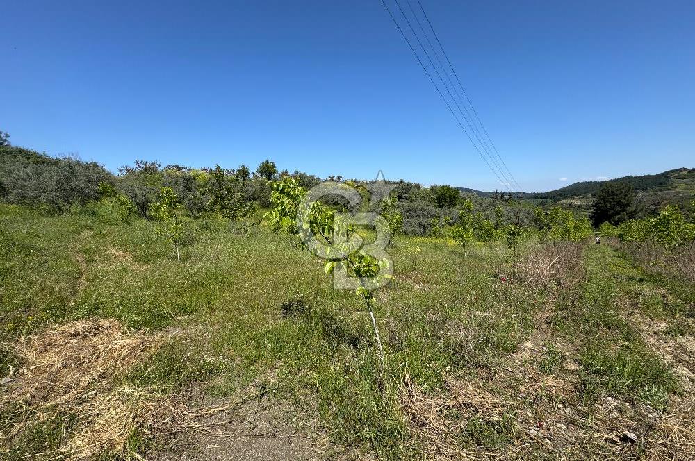 SELÇUK ŞİRİNCE’DE SATILIK 10778 M2 MÜSTAKİL BAHÇE