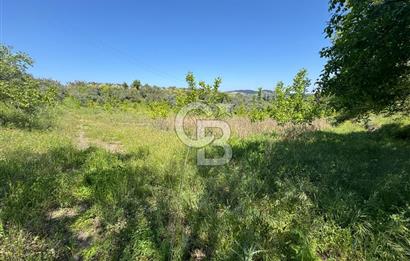SELÇUK ŞİRİNCE’DE SATILIK 10778 M2 MÜSTAKİL BAHÇE