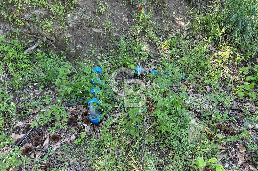 SELÇUK ŞİRİNCE’DE SATILIK 10778 M2 MÜSTAKİL BAHÇE