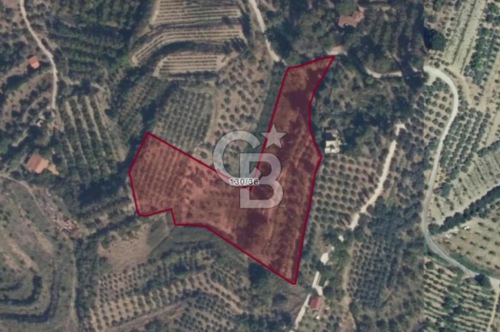 SELÇUK ŞİRİNCE’DE SATILIK 10778 M2 MÜSTAKİL BAHÇE