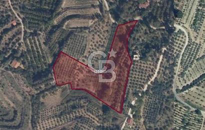 SELÇUK ŞİRİNCE’DE SATILIK 10778 M2 MÜSTAKİL BAHÇE