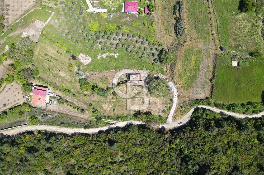 SELÇUK ŞİRİNCE’DE SATILIK DUBLEKS AHŞAP EVLİ MÜSTAKİL TARLA