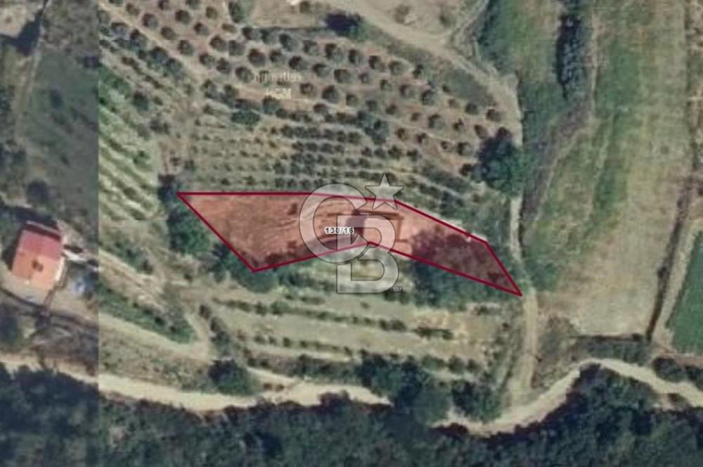 SELÇUK ŞİRİNCE’DE SATILIK DUBLEKS AHŞAP EVLİ MÜSTAKİL TARLA