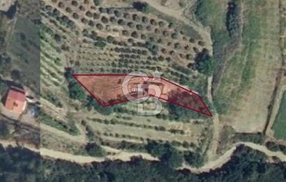 SELÇUK ŞİRİNCE’DE SATILIK DUBLEKS AHŞAP EVLİ MÜSTAKİL TARLA