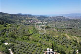 SELÇUK ŞİRİNCE’DE SATILIK 10778 M2 MÜSTAKİL BAHÇE