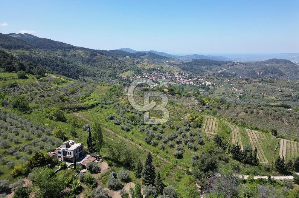 SELÇUK ŞİRİNCE’DE SATILIK 10778 M2 MÜSTAKİL BAHÇE