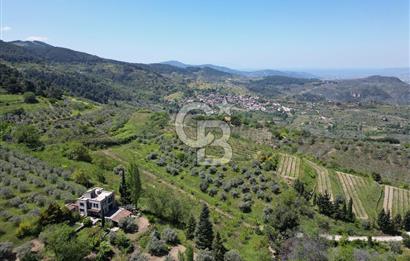 SELÇUK ŞİRİNCE’DE SATILIK 10778 M2 MÜSTAKİL BAHÇE