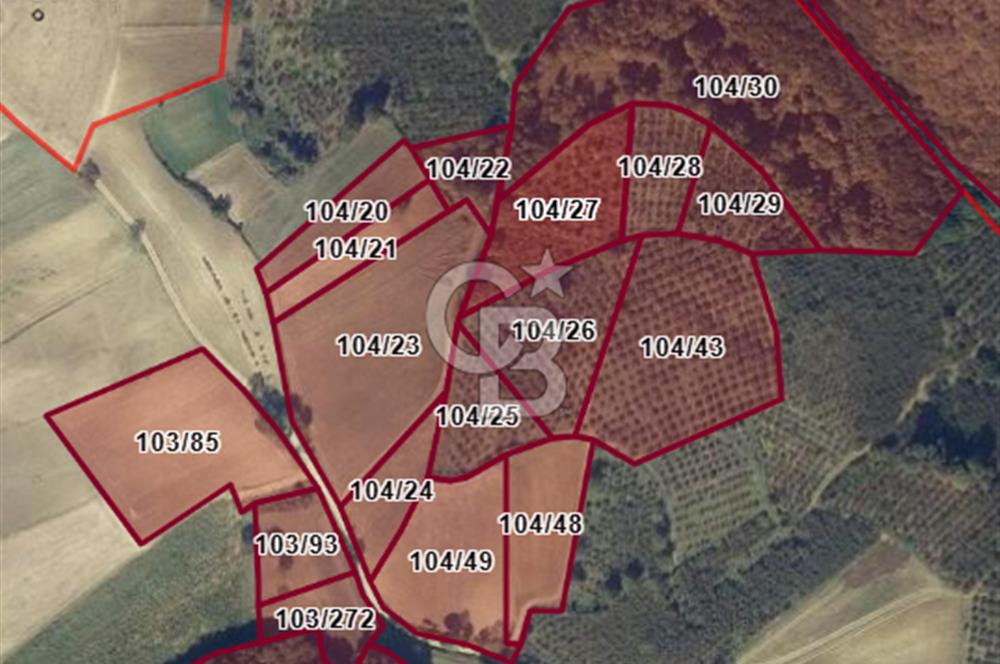 KANDIRA ALEFLİ'DE 3.959 m² SATILIK FINDIK BAHÇESİ CB TOWER