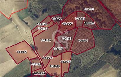 KANDIRA ALEFLİ'DE 3.959 m² SATILIK FINDIK BAHÇESİ CB TOWER
