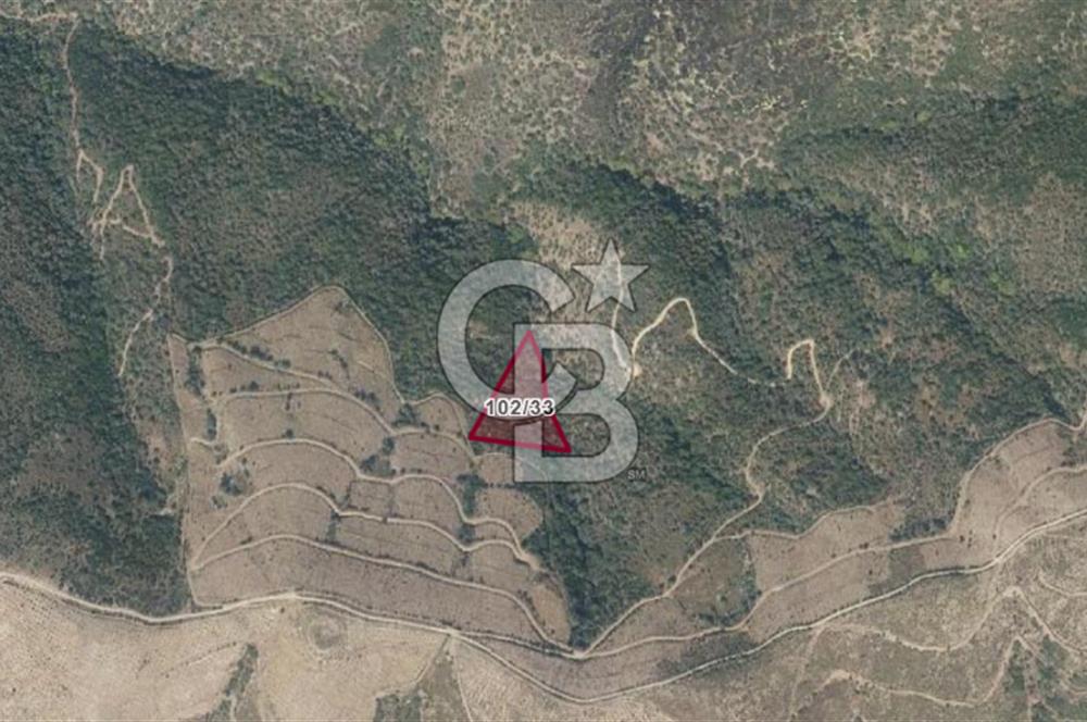 SATILIK TARLA – KARABURUN PARLAK MAHALLESİ'NDE SATILIK TARLA