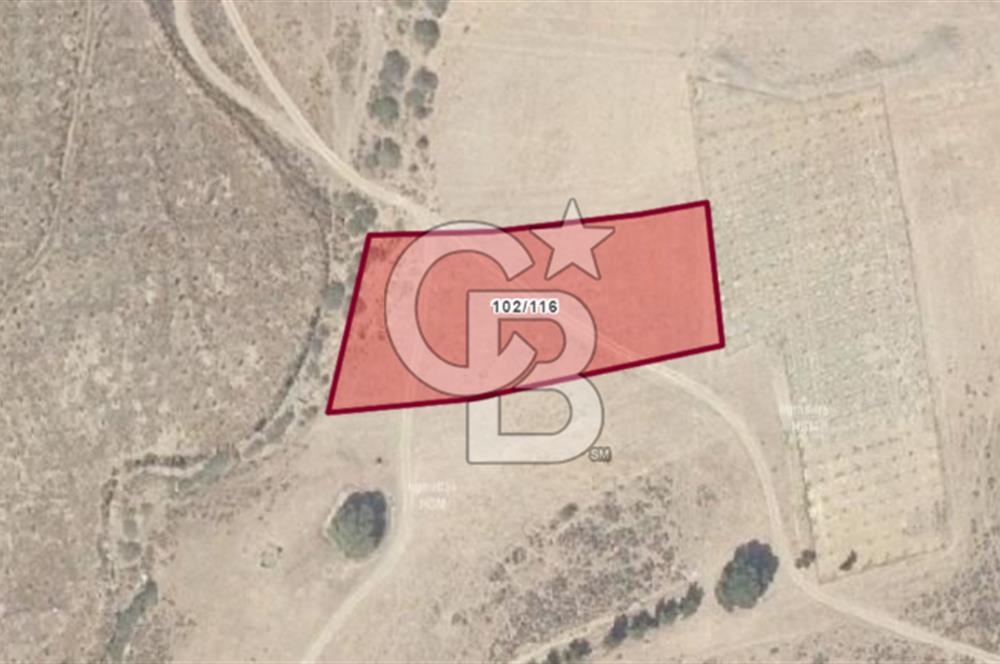 SATILIK TARLA – KARABURUN PARLAK MAHALLESİ'NDE SATILIK TARLA