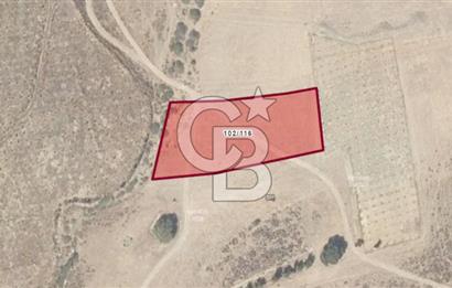 SATILIK TARLA – KARABURUN PARLAK MAHALLESİ'NDE SATILIK TARLA