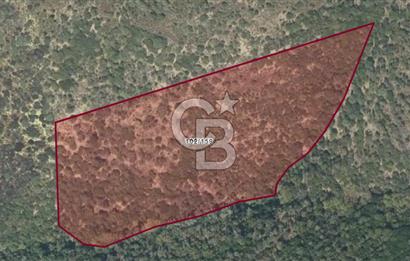 SATILIK TARLA KARABURUN PARLAK MAHALLESİ'NDE YATIRIM FIRSATI