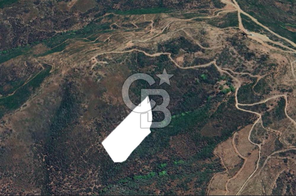 SATILIK TARLA KARABURUN PARLAK MAHALLESİ'NDE YATIRIM FIRSATI