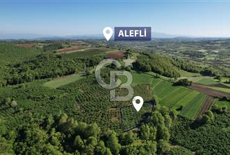 KANDIRA ALEFLİ'DE 3.959 m² SATILIK FINDIK BAHÇESİ CB TOWER