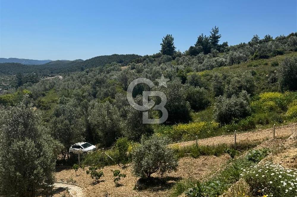 Menderes çatalca’da satılık tarla
