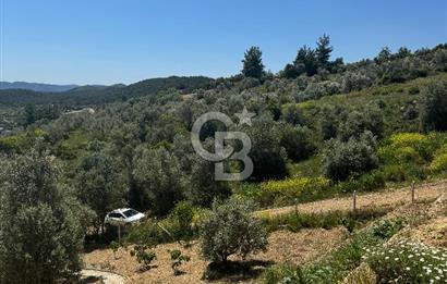 Menderes çatalca’da satılık tarla