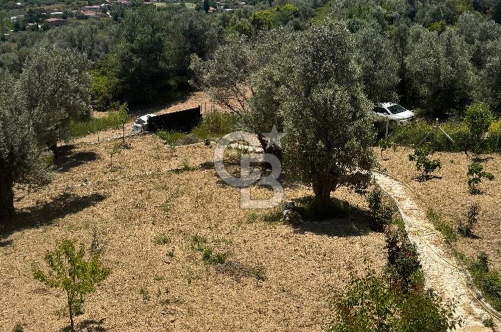 Menderes çatalca’da satılık tarla