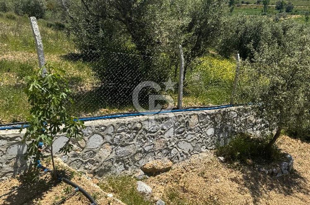 Menderes çatalca’da satılık tarla