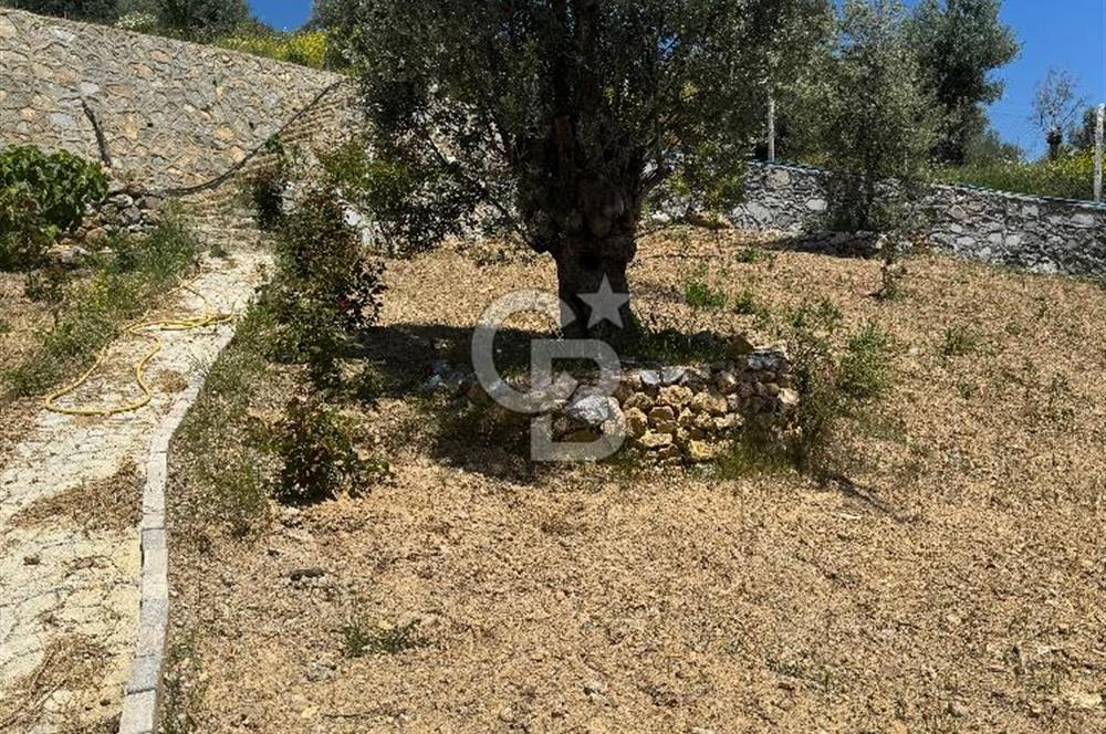 Menderes çatalca’da satılık tarla