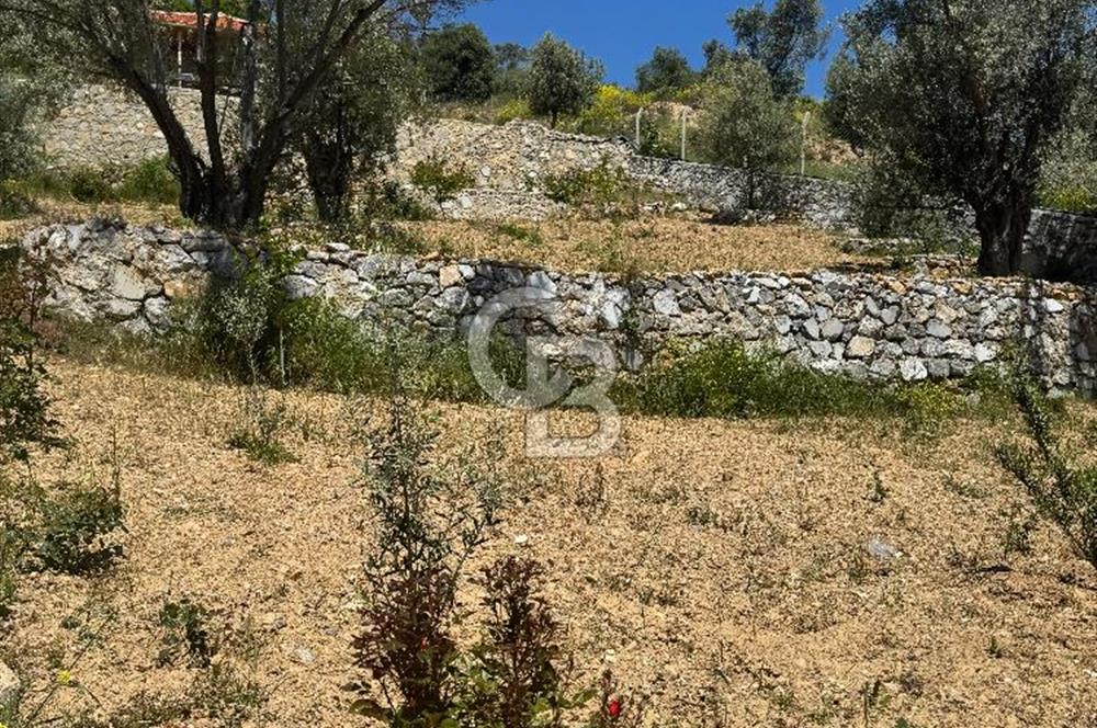 Menderes çatalca’da satılık tarla