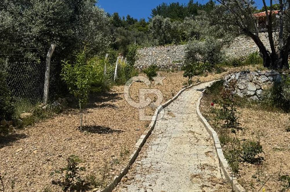 Menderes çatalca’da satılık tarla