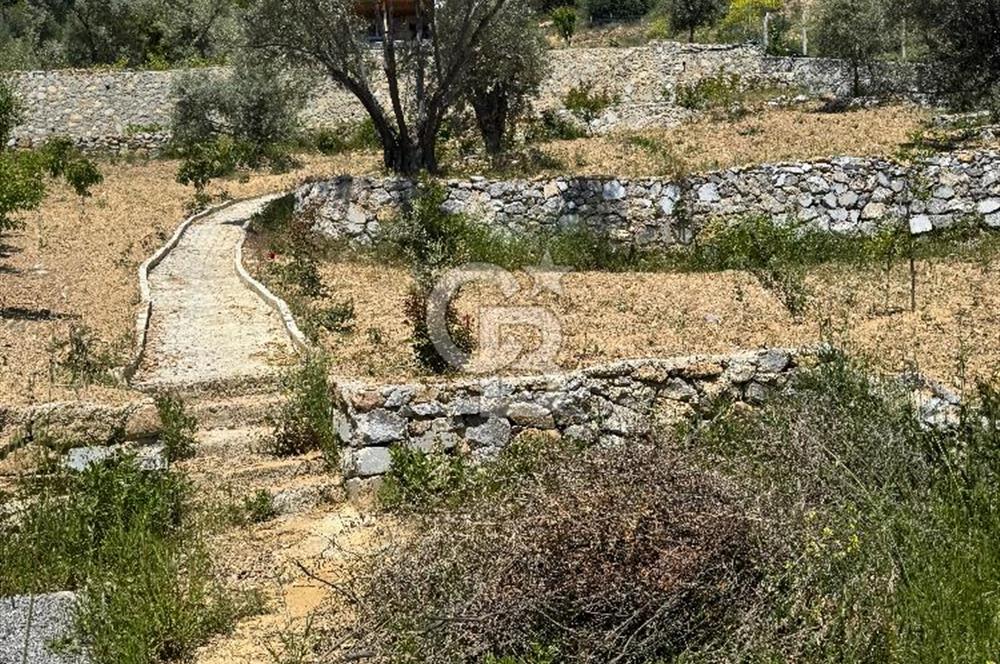 Menderes çatalca’da satılık tarla