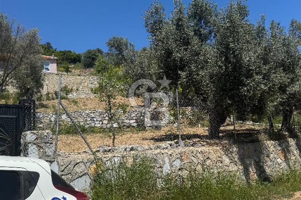 Menderes çatalca’da satılık tarla