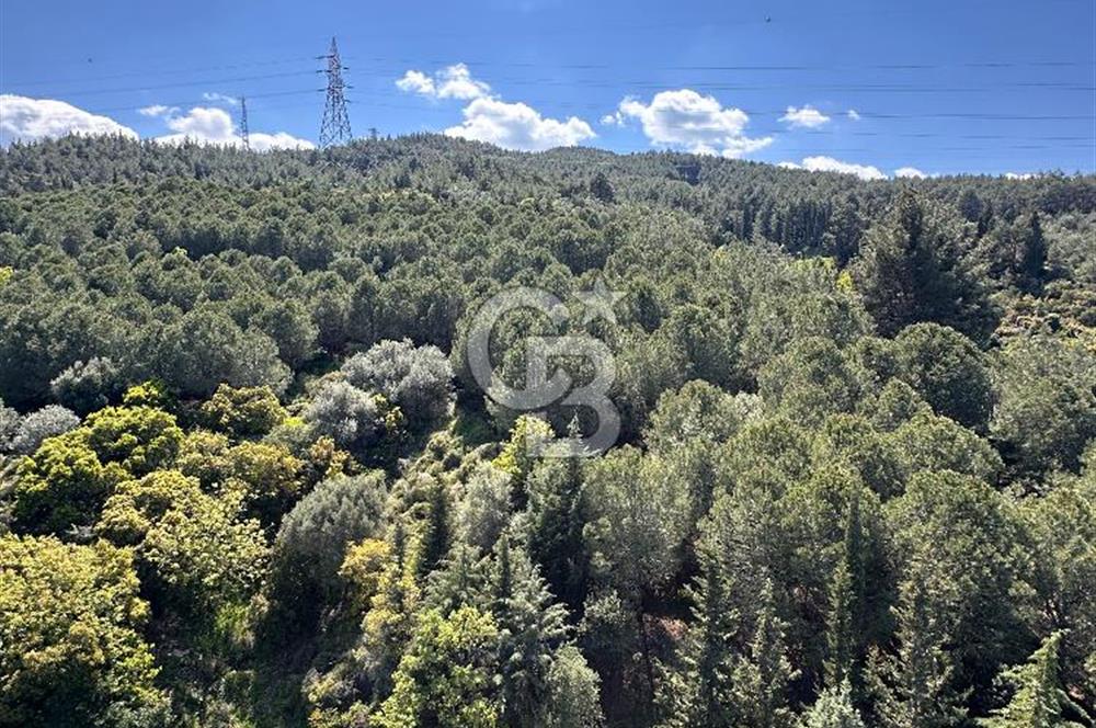 İzmir Narlıderede Site İçerisinde  Deniz - Körfez Manzaralı Satılık 3+1 Daire 