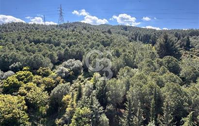 İzmir Narlıderede Site İçerisinde  Deniz - Körfez Manzaralı Satılık 3+1 Daire 