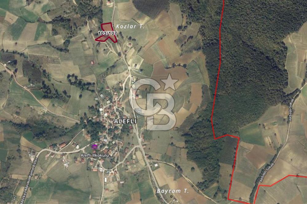 KOCAELİ KANDIRA ALEFLİ KÖYÜ 4317 M2 SATILIK TARLA