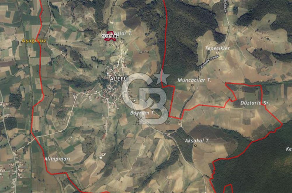 KOCAELİ KANDIRA ALEFLİ KÖYÜ 4317 M2 SATILIK TARLA