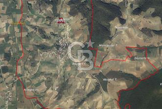 KOCAELİ KANDIRA ALEFLİ KÖYÜ 4317 M2 SATILIK TARLA