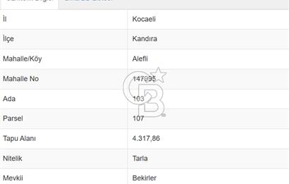 KOCAELİ KANDIRA ALEFLİ KÖYÜ 4317 M2 SATILIK TARLA