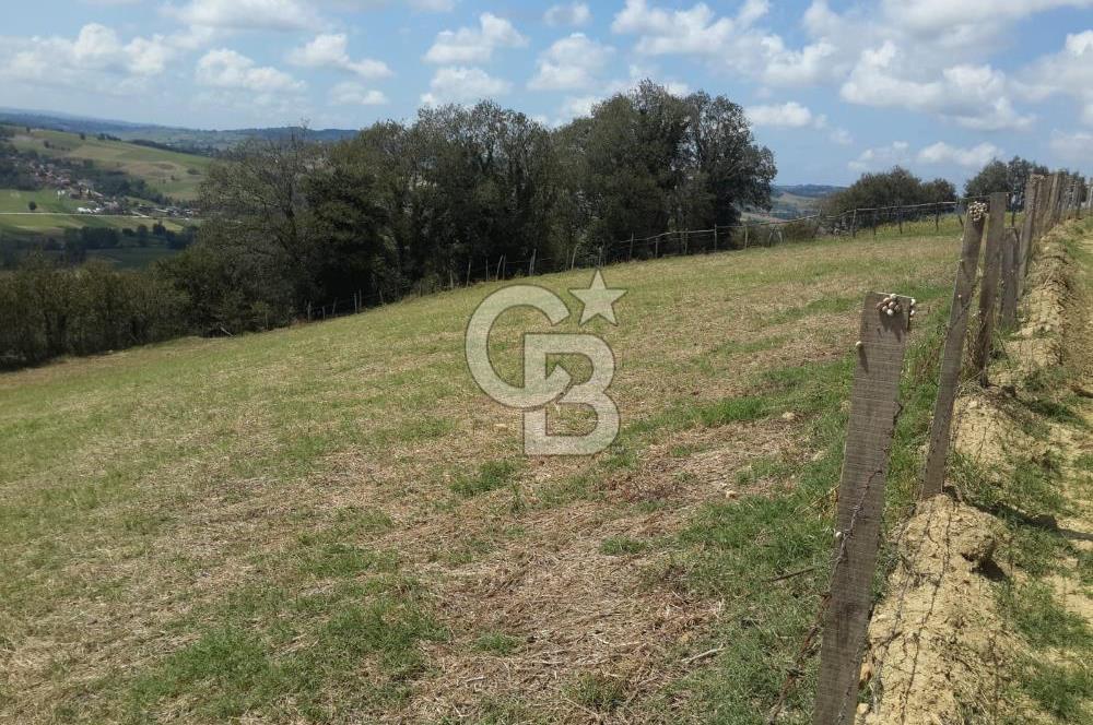 KOCAELİ KANDIRA ALEFLİ KÖYÜ 4317 M2 SATILIK TARLA