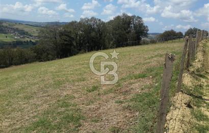 KOCAELİ KANDIRA ALEFLİ KÖYÜ 4317 M2 SATILIK TARLA